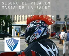 Seguro de vida em  Maria de la Salut