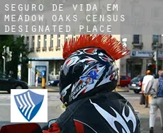 Seguro de vida em  Meadow Oaks