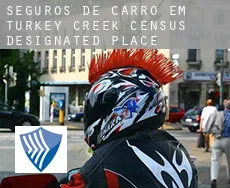 Seguros de carro em  Turkey Creek