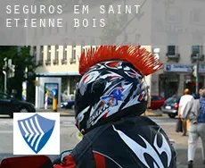 Seguros em  Saint-Étienne-du-Bois