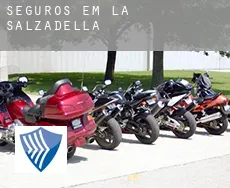 Seguros em  la Salzadella