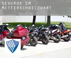 Seguros em  Mitterschneidhart