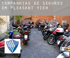 Companhias de seguros em  Pleasant View