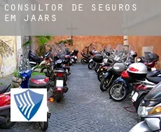 Consultor de seguros em  Jaars