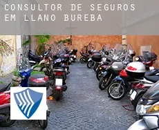 Consultor de seguros em  Llano de Bureba