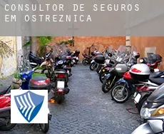 Consultor de seguros em  Ostrężnica