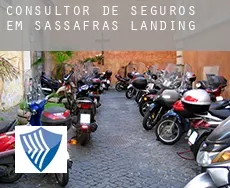 Consultor de seguros em  Sassafras Landing