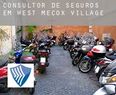 Consultor de seguros em  West Mecox Village