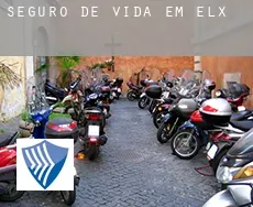Seguro de vida em  Elx
