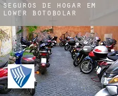 Seguros de hogar em  Lower Botobolar