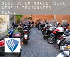 Seguros em  Quail Ridge