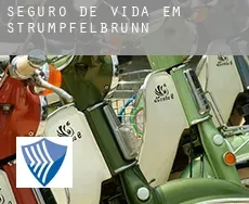 Seguro de vida em  Strümpfelbrunn