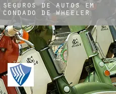 Seguros de autos em Condado de Wheeler