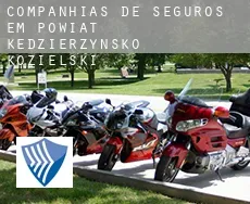 Companhias de seguros em  Powiat kędzierzyńsko-kozielski