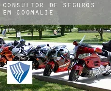 Consultor de seguros em  Coomalie