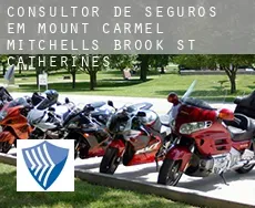 Consultor de seguros em  Mount Carmel-Mitchells Brook-St. Catherines