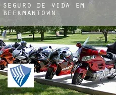 Seguro de vida em  Beekmantown