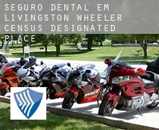 Seguro dental em  Livingston Wheeler
