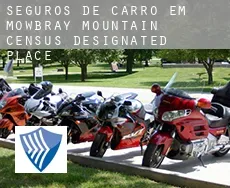 Seguros de carro em  Mowbray Mountain