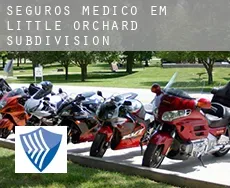 Seguros médico em  Little Orchard Subdivision