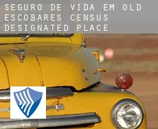 Seguro de vida em Old Escobares