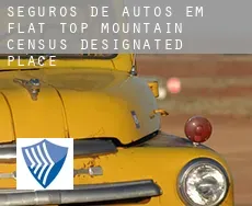 Seguros de autos em  Flat Top Mountain