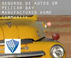 Seguros de autos em  Pelican Bay Manufactured Home Community