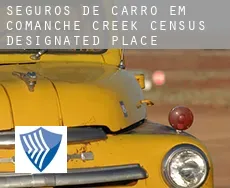 Seguros de carro em  Comanche Creek