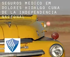 Seguros médico em  Dolores Hidalgo Cuna de la Independencia Nacional