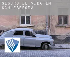 Seguro de vida em  Schleberoda