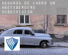 Seguros de carro em  Anetsberger's Subdivision
