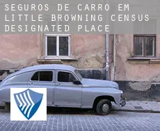Seguros de carro em  Little Browning