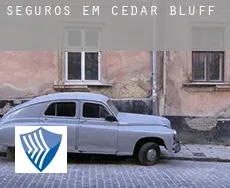 Seguros em  Cedar Bluff