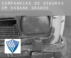 Companhias de seguros em  Sabana Grande