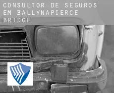 Consultor de seguros em  Ballynapierce Bridge