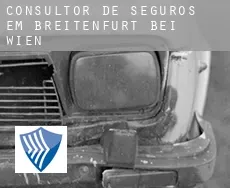 Consultor de seguros em  Breitenfurt bei Wien
