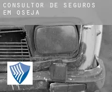 Consultor de seguros em  Oseja