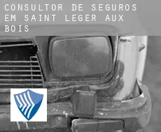 Consultor de seguros em  Saint-Léger-aux-Bois