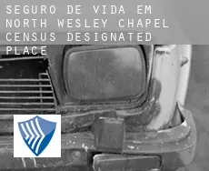 Seguro de vida em  North Wesley Chapel