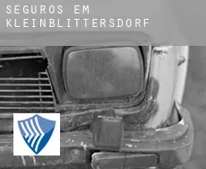 Seguros em  Kleinblittersdorf