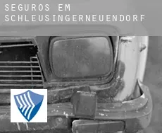 Seguros em  Schleusingerneuendorf