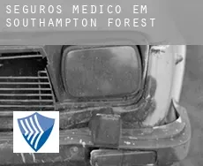 Seguros médico em  Southampton Forest