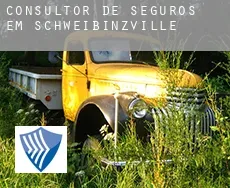 Consultor de seguros em  Schweibinzville
