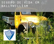Seguro de vida em Ballywilliam