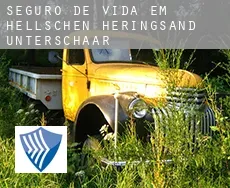 Seguro de vida em  Hellschen-Heringsand-Unterschaar