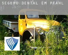 Seguro dental em  Pfahl