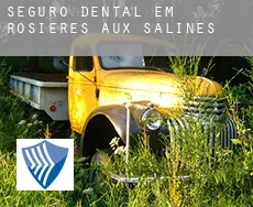 Seguro dental em  Rosières-aux-Salines