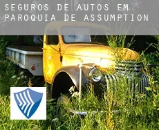 Seguros de autos em  Paróquia de Assumption