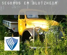 Seguros em  Blotzheim