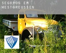 Seguros em  Westgreußen